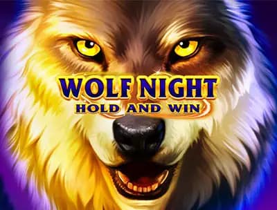 Play Wolf Night