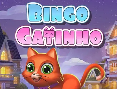 Bingo Gatinho