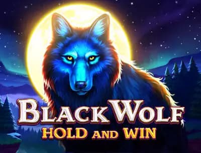 Play Black Wolf: Hold and Win at Ozoon Casino