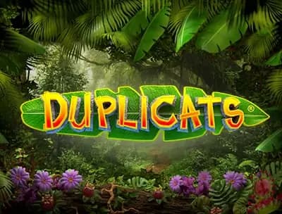 Duplicats