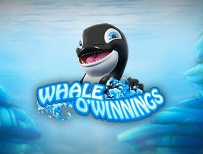 Whale o' winnings