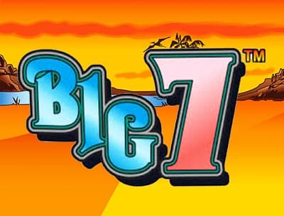 Big 7 TM