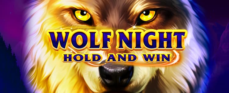 Play Wolf Night