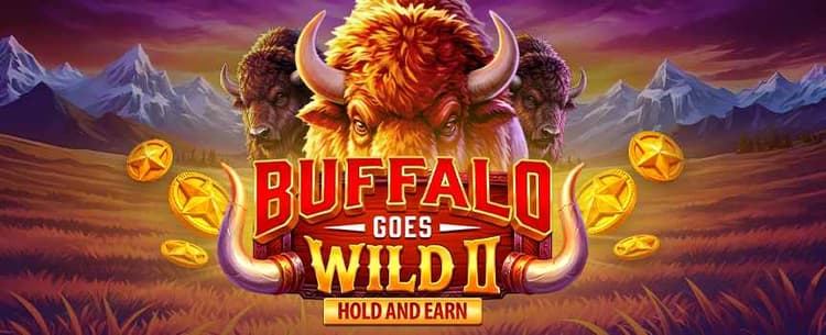 Buffalo Goes Wild II