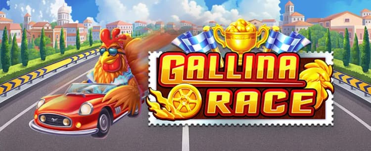 Gallina Race