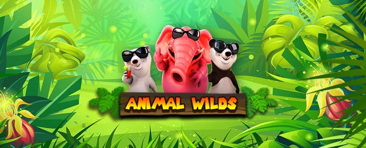 Play Animal Wilds